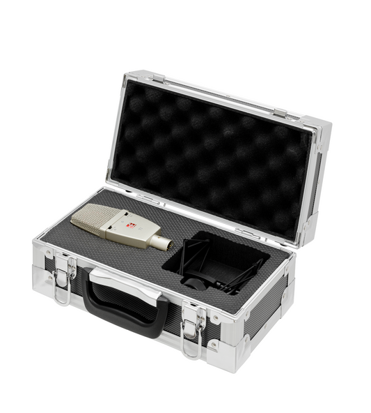 sE ELECTRONICS T1 LARGE DIAPHRAGM CONDENSER MIC