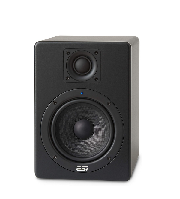 ESI aktiv 05 Studio Monitor (Single)