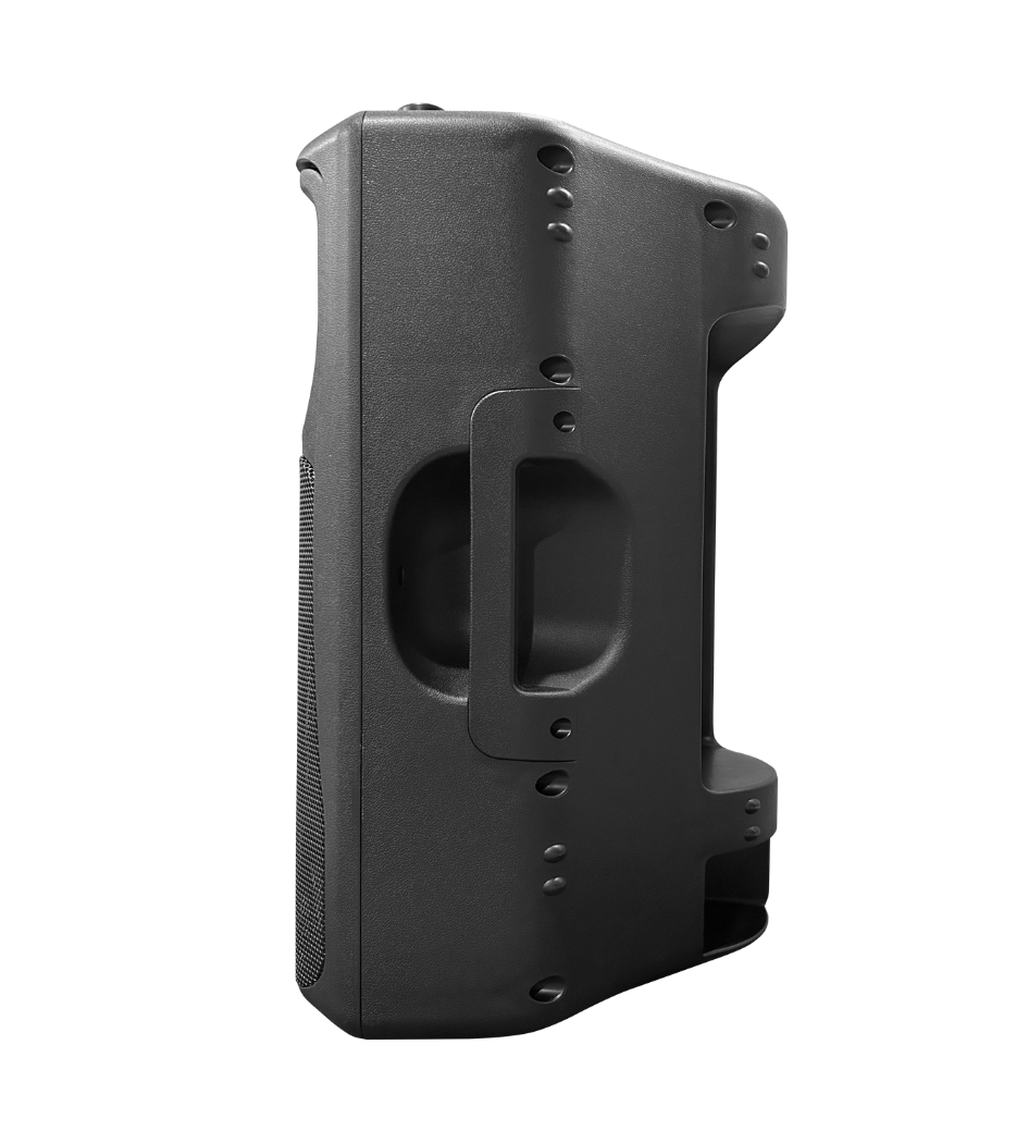 LISTEN ACOUSTIC PT-12 12" PASSIVE SPEAKER