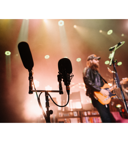 sE 6160 SMALL DIAPHRAGM CONDENSER MIC - SINGLE