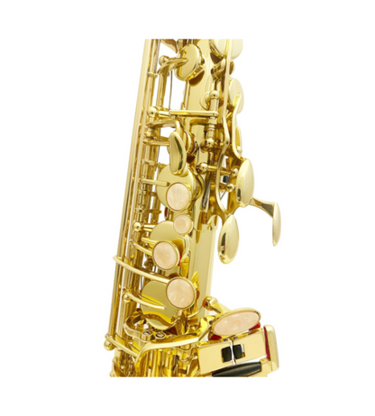 ADI 6430L ALTO SAX GOLDEN LACQUER