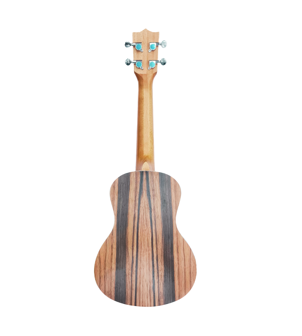 KADENCE U23SE UKULELE