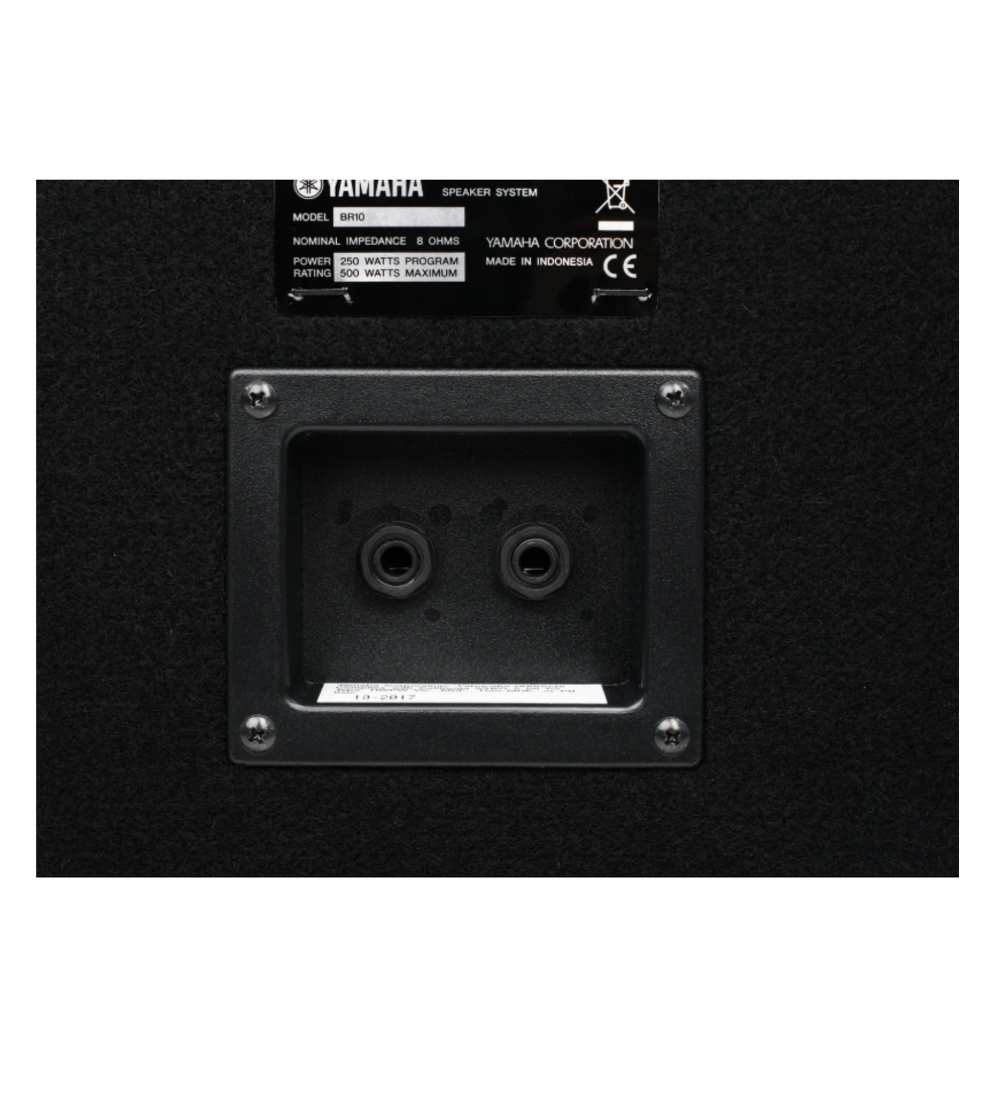 Yamaha BR10 500W 10 inch Passive Speaker