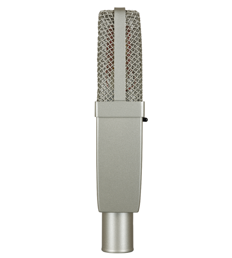 SE LARGE DIAPHRAGM CONDENSER MIC - T2 (Pair)