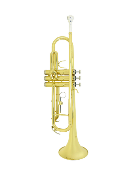 ADI TP 807 L TRUMPET - BB KEY GOLD LACQUER STAINLESS STEEL VALVE