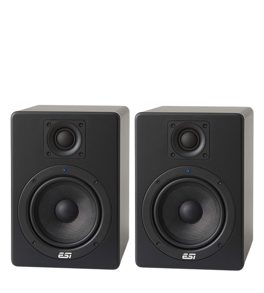 ESI aktiv 05 Studio Monitor ( Dual )
