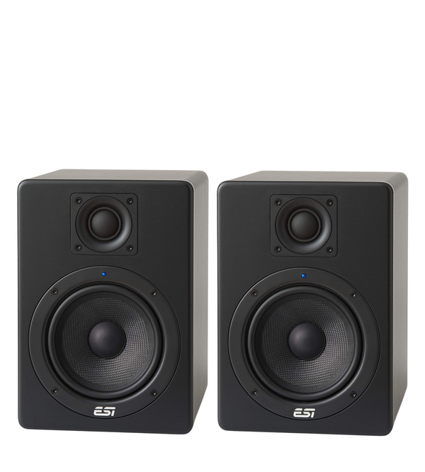 ESI aktiv 05 Studio Monitor (Pair)